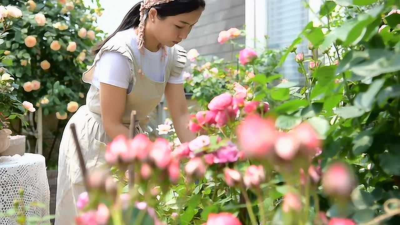 365花园最新视频，解锁生活小确幸的秘密花园