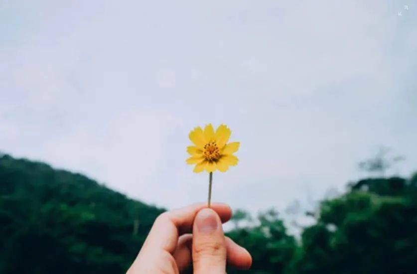 张老师365视频,每日一课,生活因学习而精彩 张老师365视频,每日一课,生活因学习而精彩
