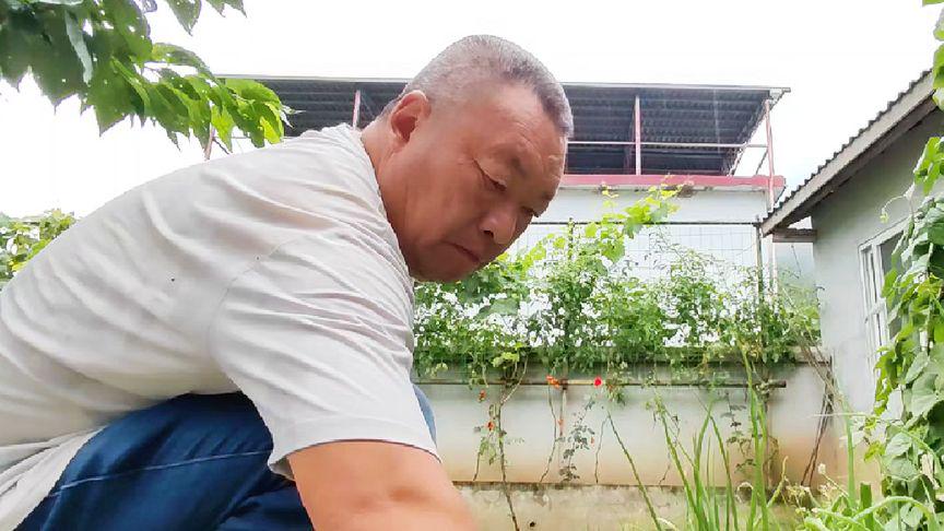 农民365北京视频,记录乡村生活的真实脉动 农民365北京视频,记录乡村生活的真实脉动