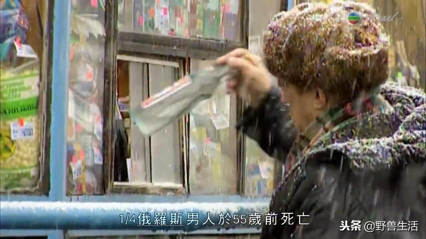 365天醉酒视频,记录生活,还是逃避现实? 365天醉酒视频,记录生活,还是逃避现实?