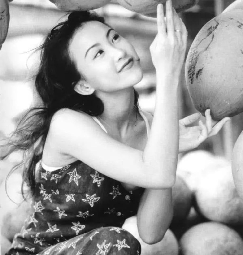 李文365视频，解锁生活小确幸的秘密