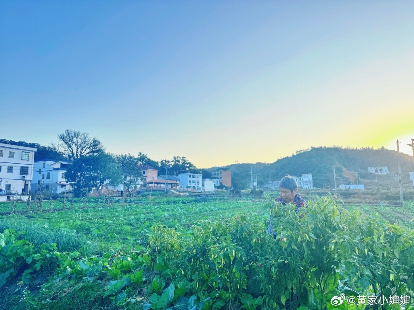 农村365个视频，记录乡村生活的多彩画卷