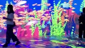365度转场视频,打造沉浸式体验的视觉盛宴 365度转场视频,打造沉浸式体验的视觉盛宴