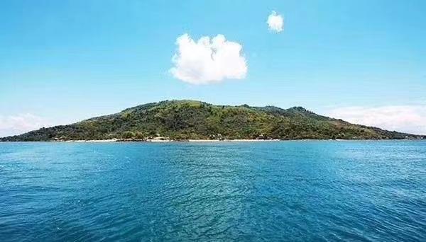 365马达拆解，一次动手实践的深度解析