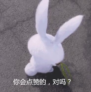 歌曲365天视频，用音乐编织的每日生活旋律