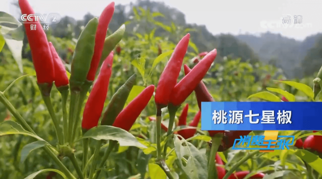 三一365h液压泵更换视频，看完这篇，你也能自己动手干