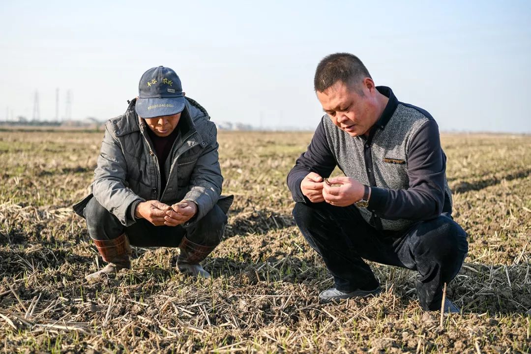 我的农村365种地视频,从手忙脚乱到与土地和解的全记录 我的农村365种地视频,从手忙脚乱到与土地和解的全记录